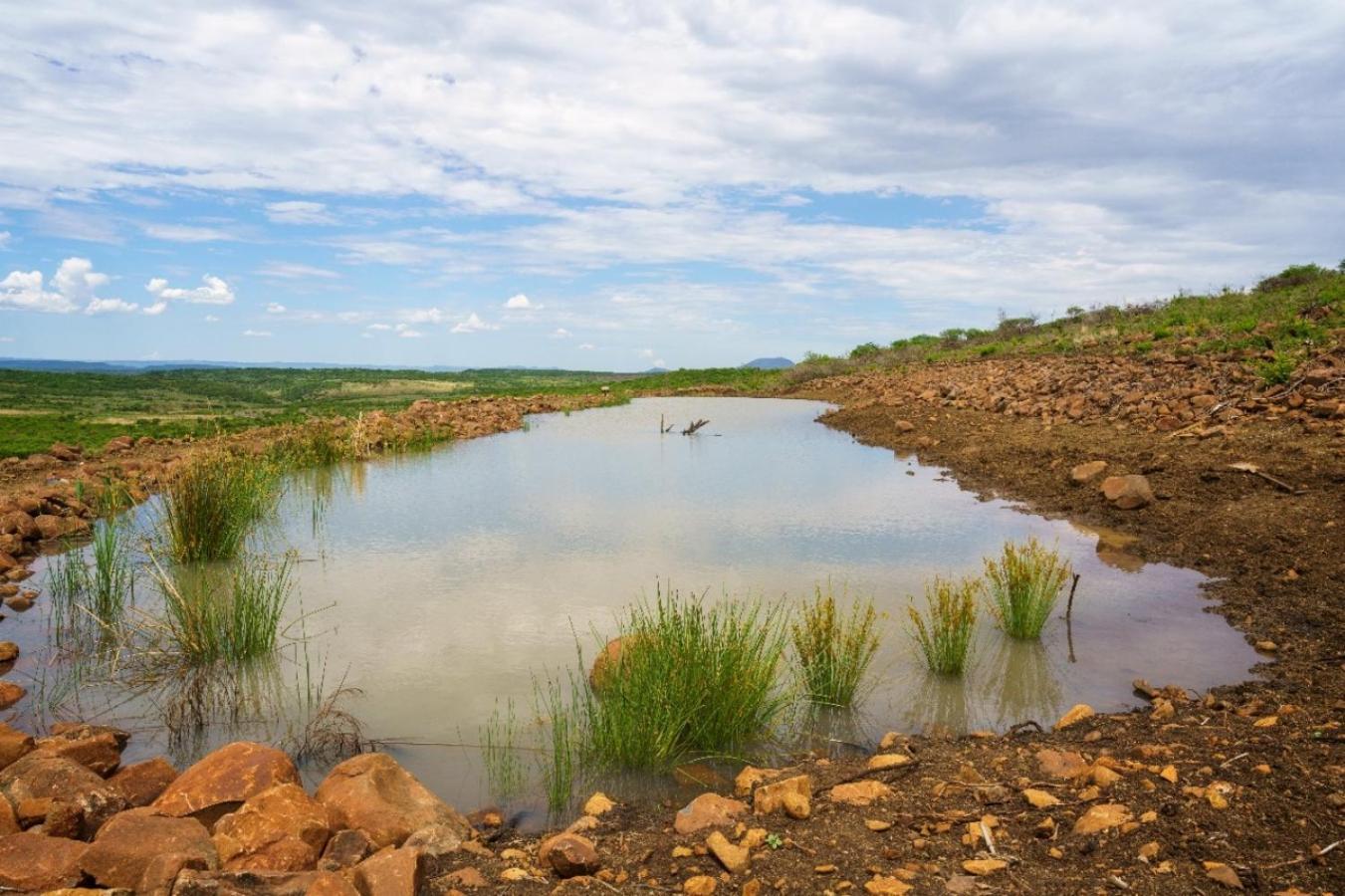 Umzolozolo Private Safari & * Ladysmith