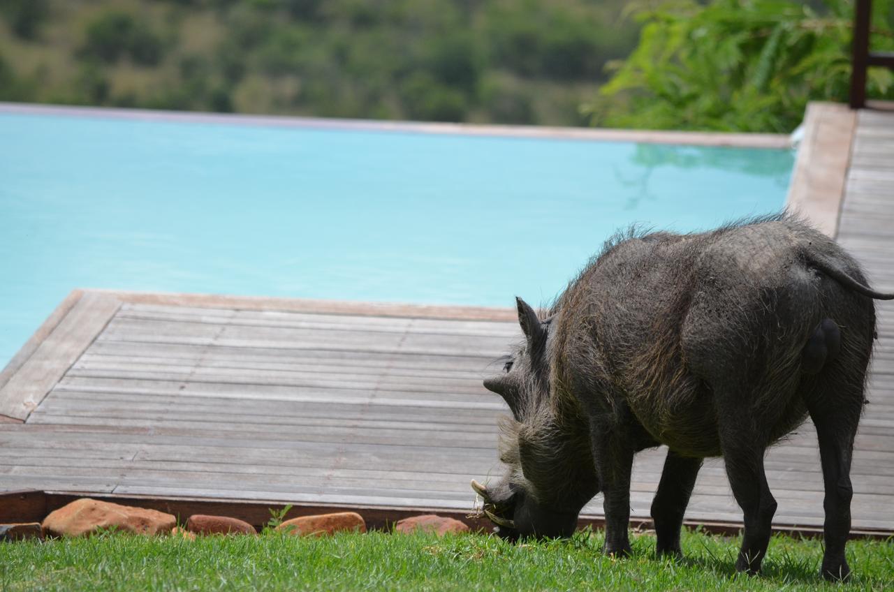 Lodge Umzolozolo Private Safari & *