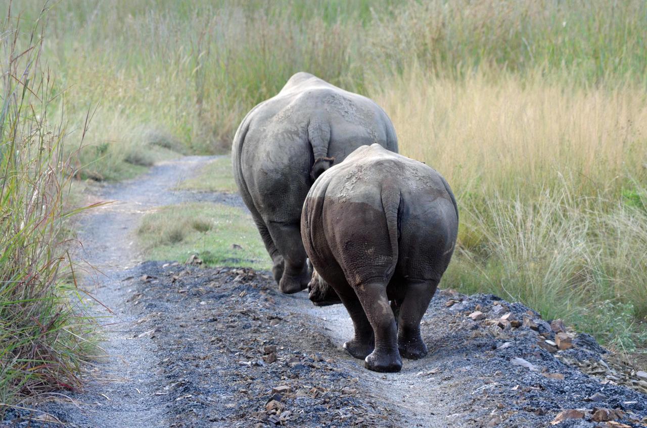 Umzolozolo Private Safari & * Ladysmith