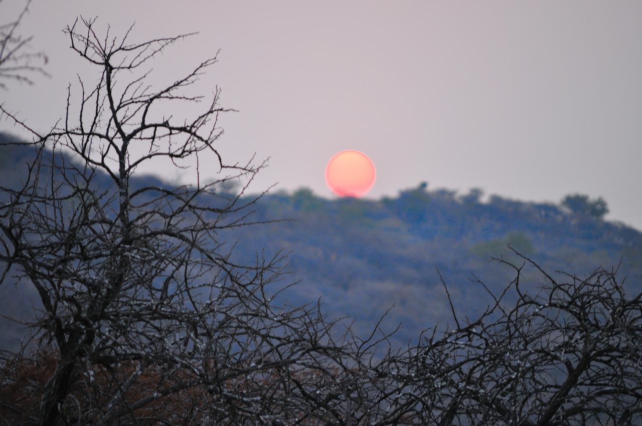 Umzolozolo Private Safari & * Ladysmith