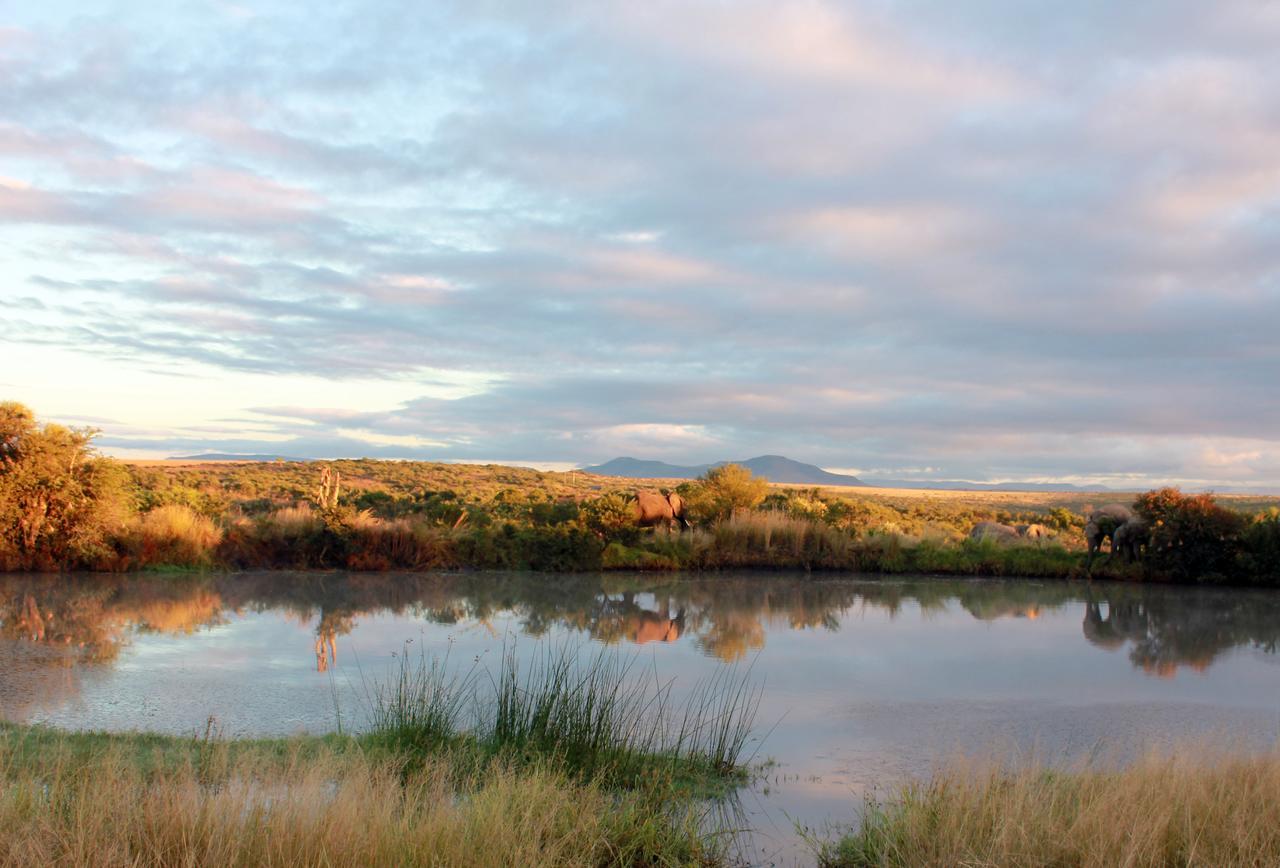 Umzolozolo Private Safari & * Ladysmith