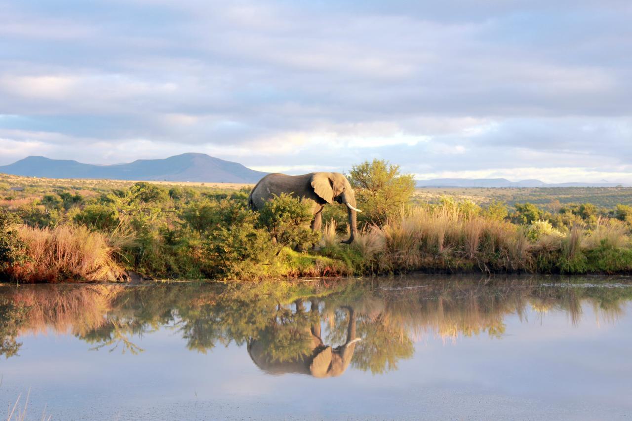 Lodge Umzolozolo Private Safari & *